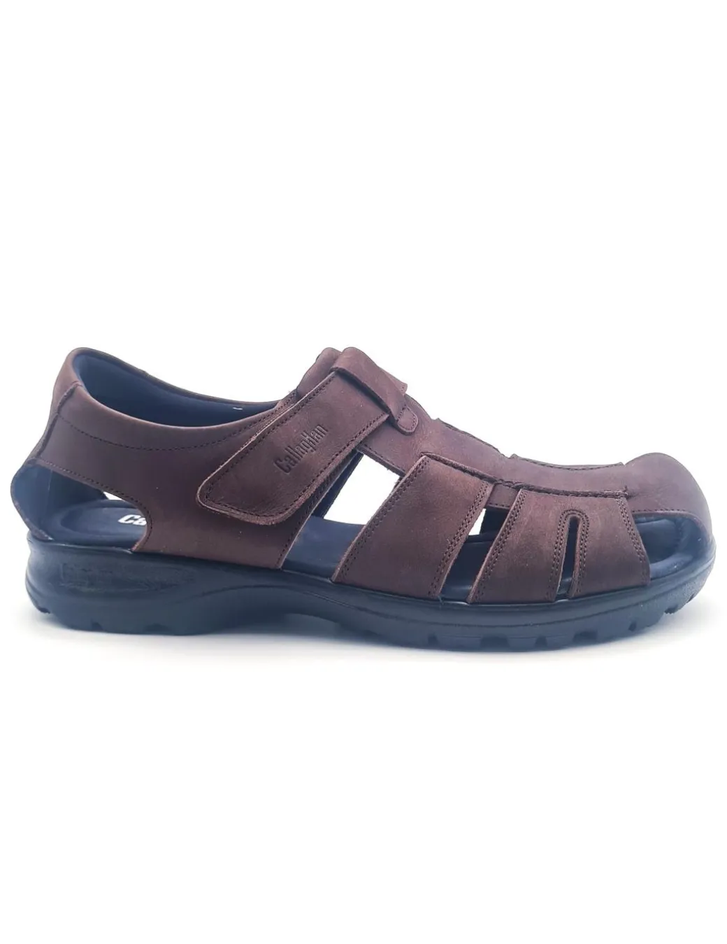 callaghan__marron_0.webp CALLAGHAN 86101 MARRON