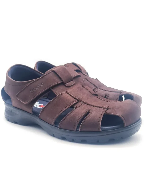 CALLAGHAN 86101 MARRON