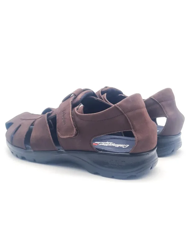CALLAGHAN 86101 MARRON