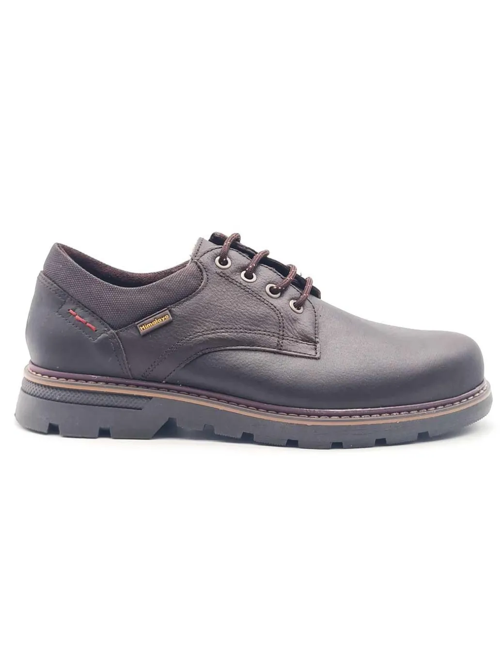 himalaya__testa_0.webp HIMALAYA 3081 TESTA