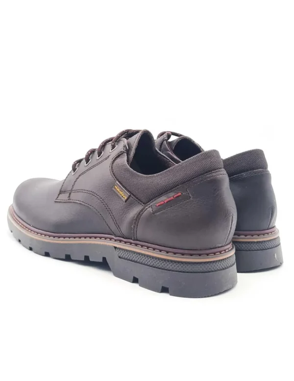 HIMALAYA 3081 TESTA
