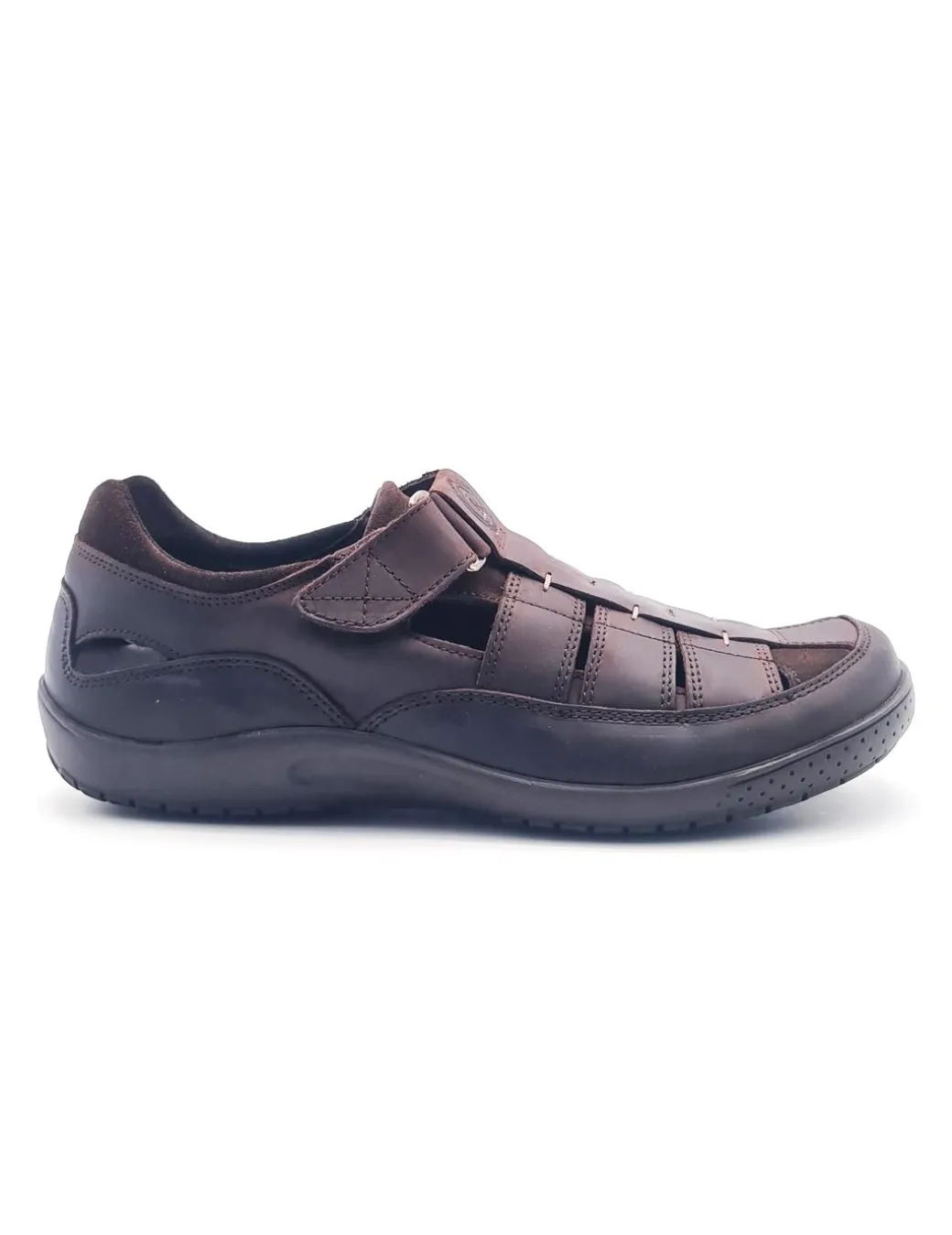 panama_jack_meridian_basi_0.webp PANAMA JACK MERIDIAN BASICS C1 MARRON