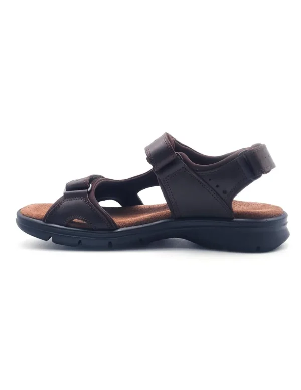 PANAMA JACK SALTON BASICS C1 MARRON