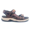 PAREDES VP22174 MARRON