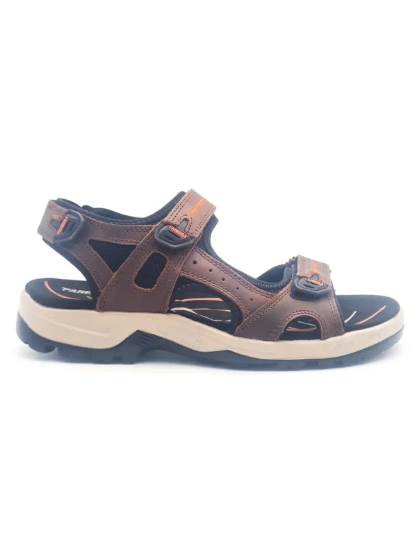 PAREDES VP22174 MARRON