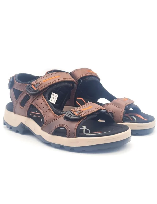 PAREDES VP22174 MARRON