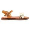 PORRONET 2819 AVELLANA
